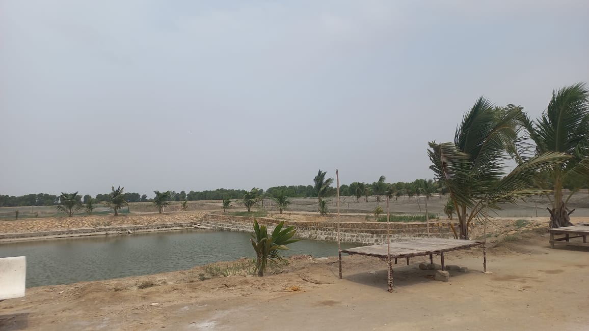 Farm Visit - Main Pond