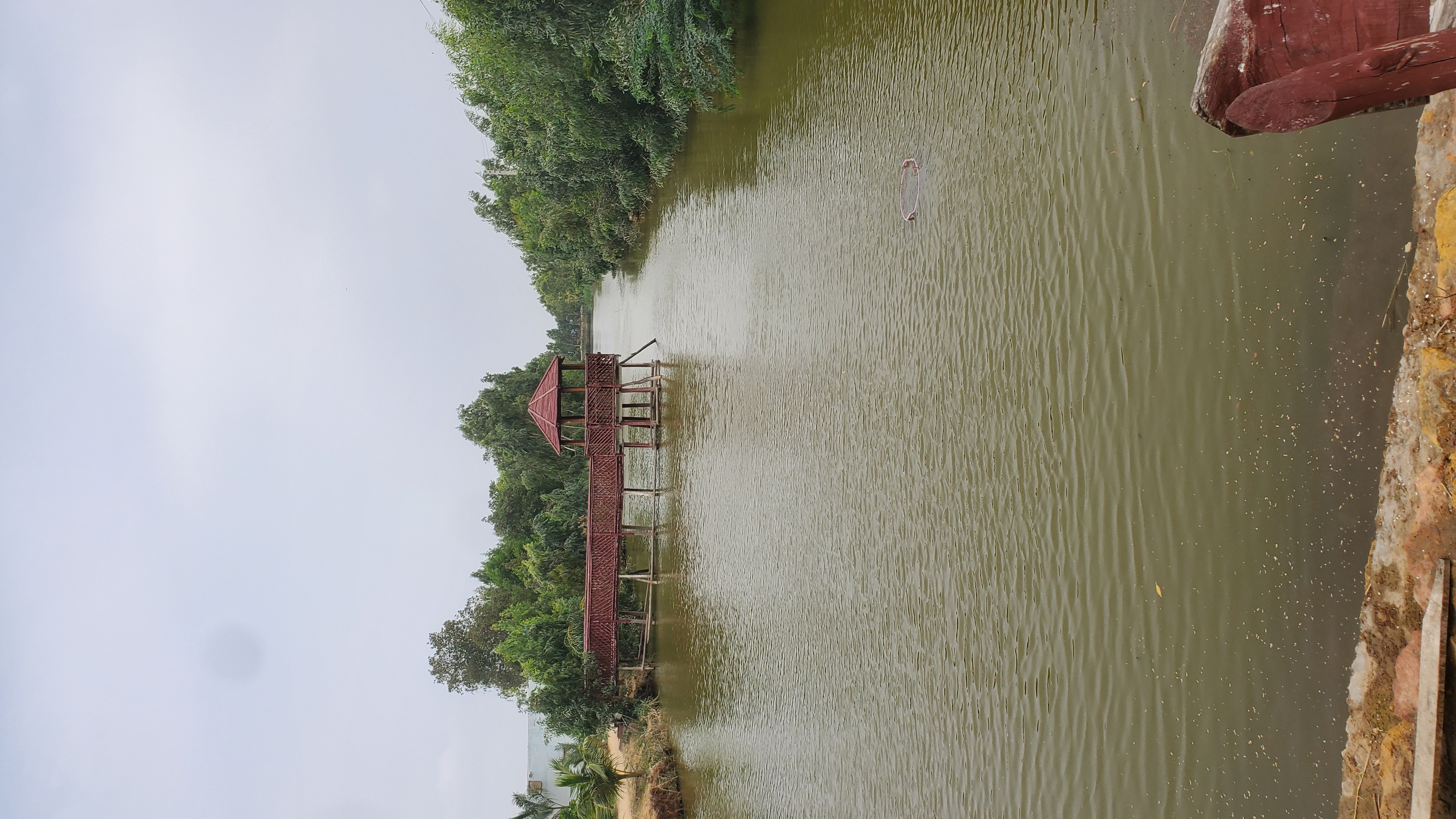 AI-powered fish health monitoring